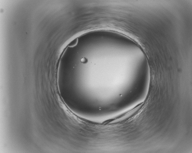 X0000070401534200606161332