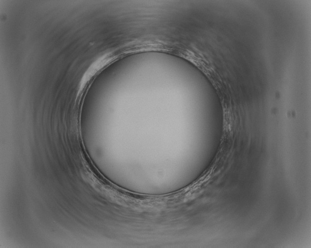 X0000070400004200606231814