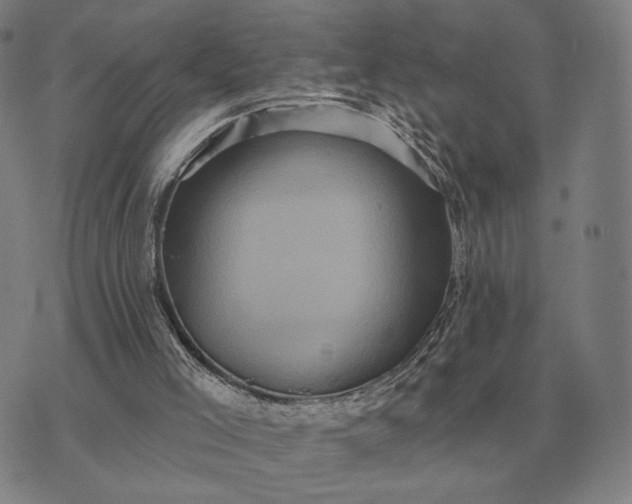 X0000070400005200606231814