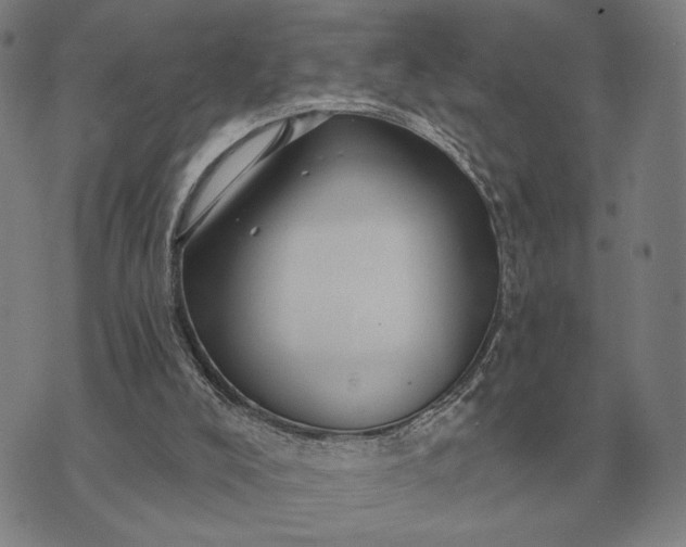 X0000070400008200606231814