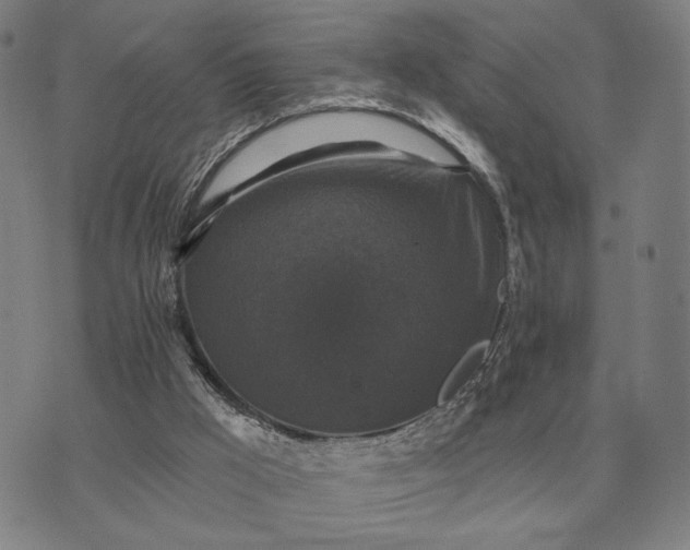 X0000070400009200606231814