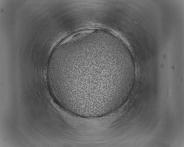 X0000070400010200606231814