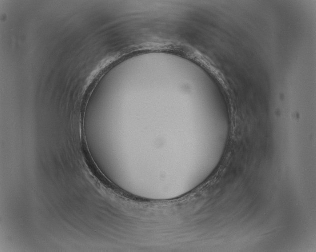 X0000070400011200606231814