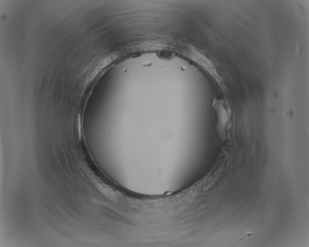 X0000070400013200606231814