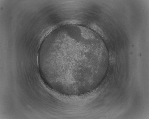 X0000070400014200606231814