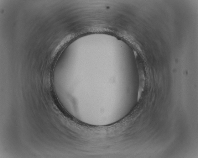 X0000070400015200606231814