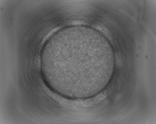 X0000070400016200606231814