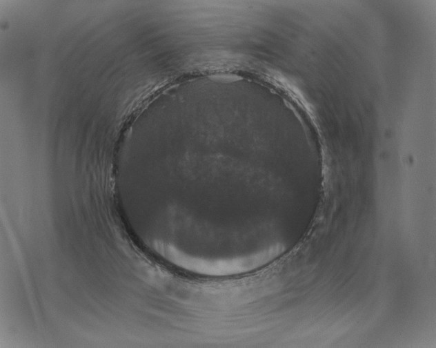 X0000070400017200606231814