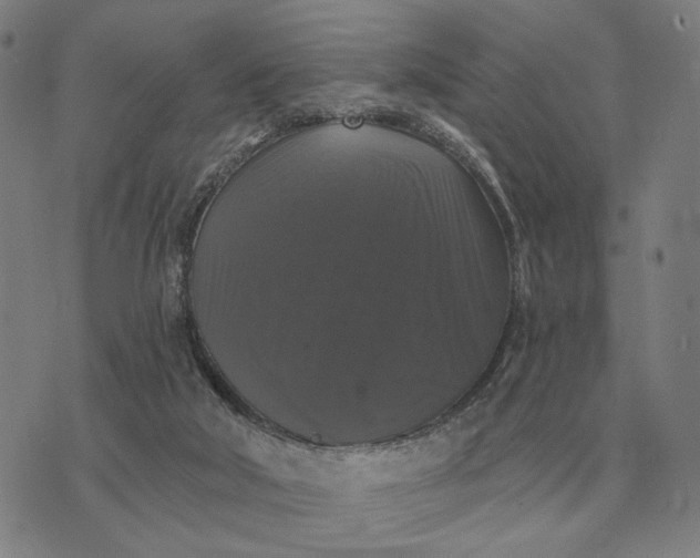 X0000070400018200606231814