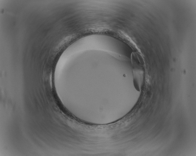 X0000070400019200606231814