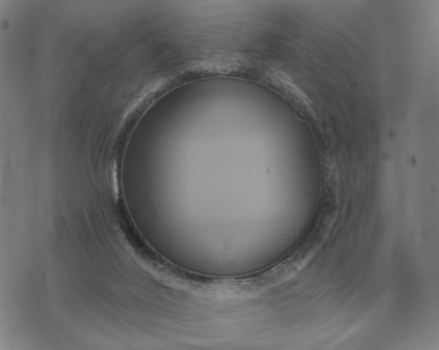 X0000070400020200606231814