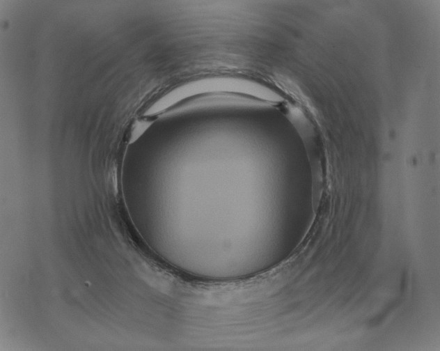 X0000070400021200606231814