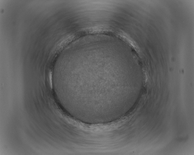 X0000070400022200606231814