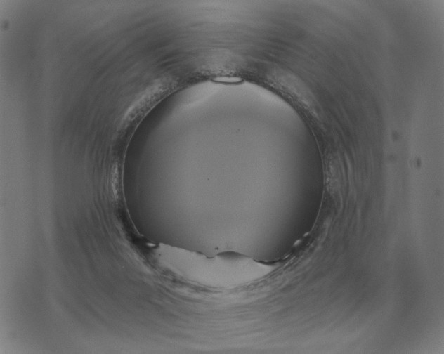 X0000070400023200606231814