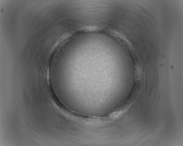 X0000070400024200606231814