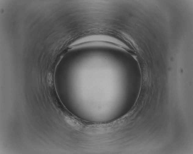 X0000070400025200606231814