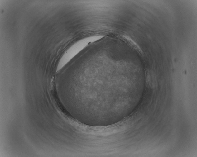 X0000070400026200606231814