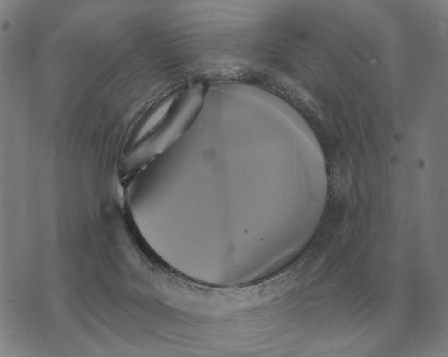 X0000070400027200606231814