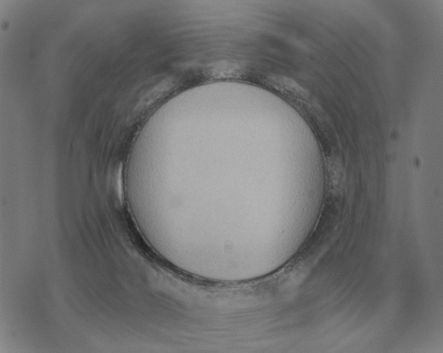 X0000070400028200606231814