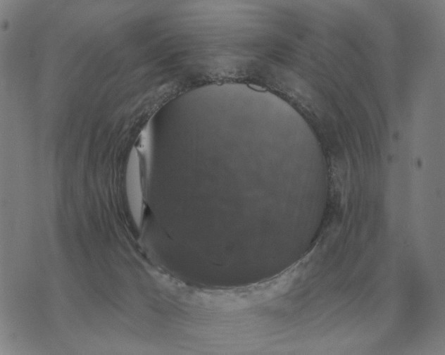 X0000070400029200606231814