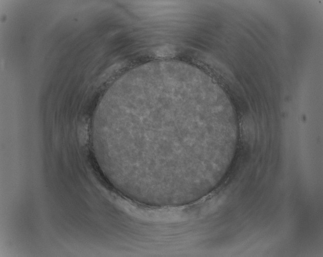 X0000070400032200606231814