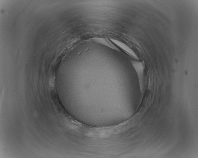 X0000070400033200606231814