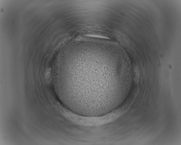 X0000070400034200606231814