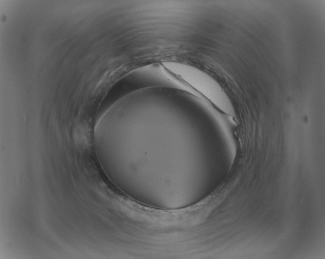 X0000070400035200606231814