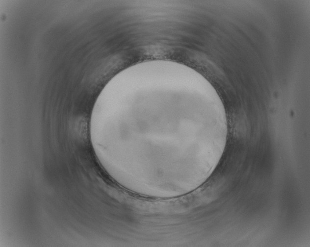 X0000070400036200606231813