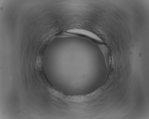 X0000070400037200606231813