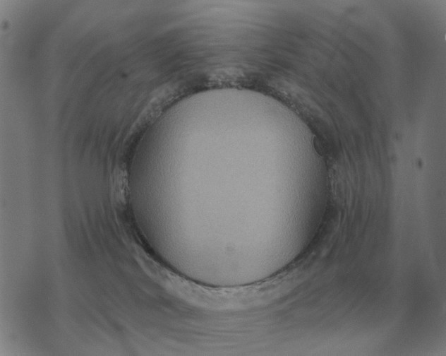 X0000070400038200606231813