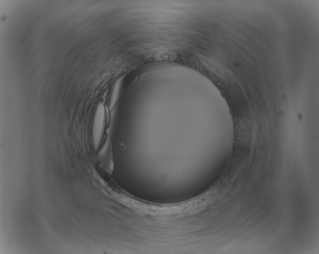 X0000070400039200606231813