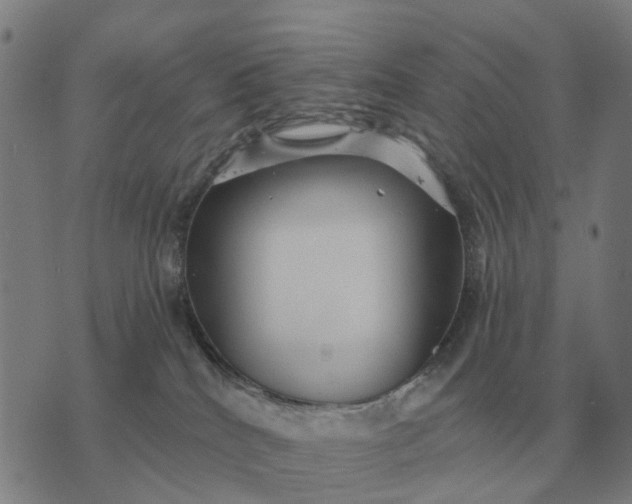 X0000070400040200606231813