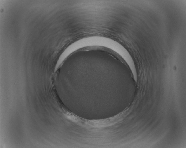 X0000070400041200606231813