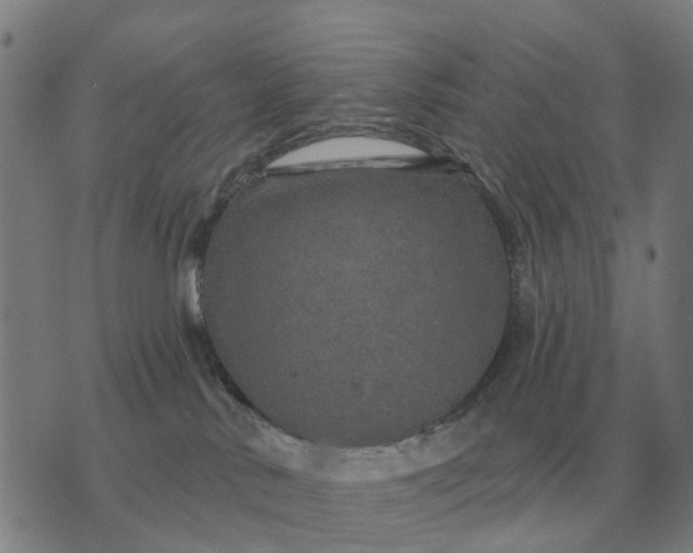 X0000070400042200606231813