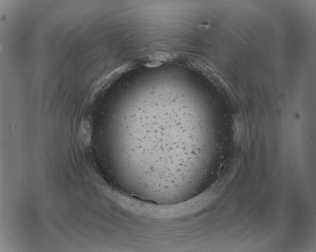 X0000070400043200606231813