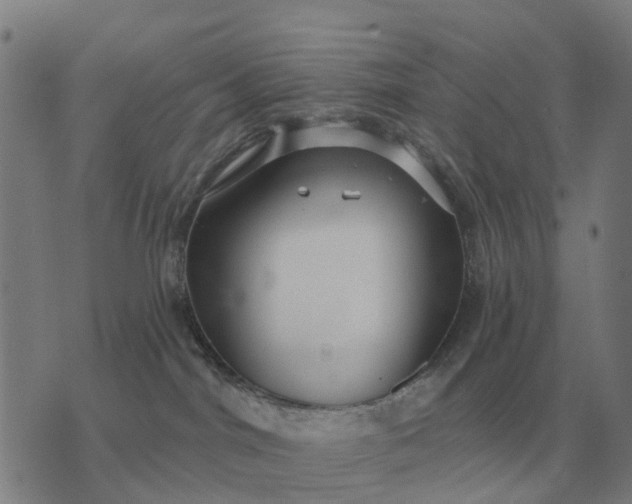 X0000070400044200606231813