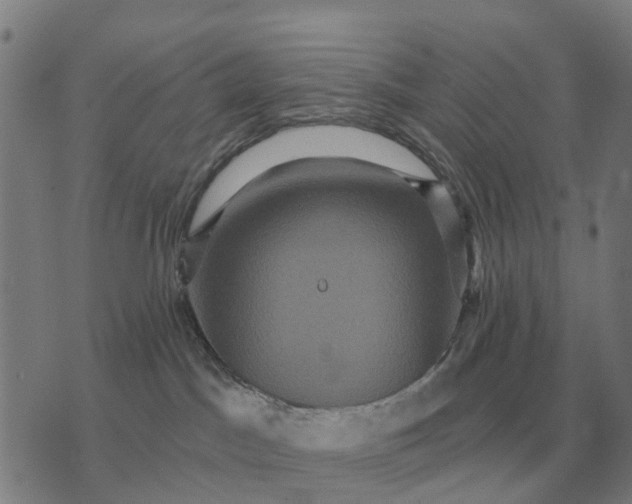 X0000070400045200606231813