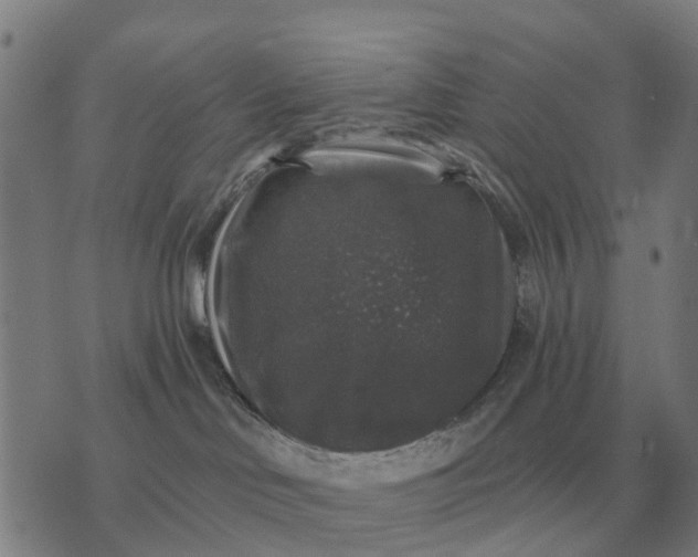 X0000070400046200606231813