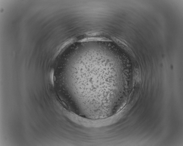 X0000070400047200606231813