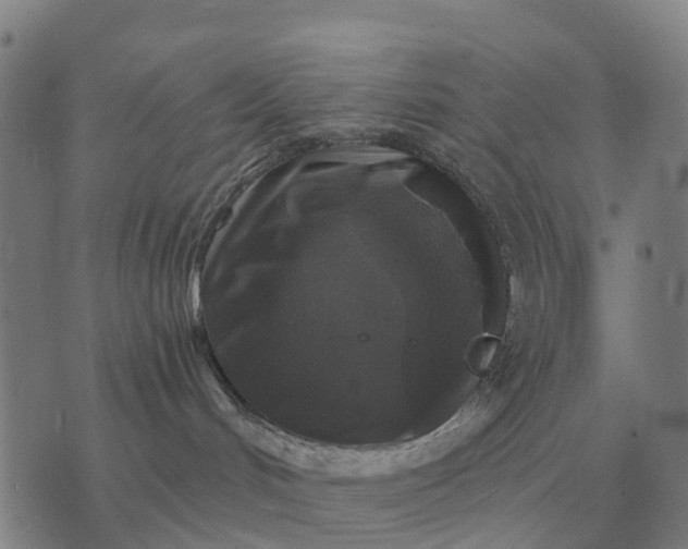 X0000070400048200606231813