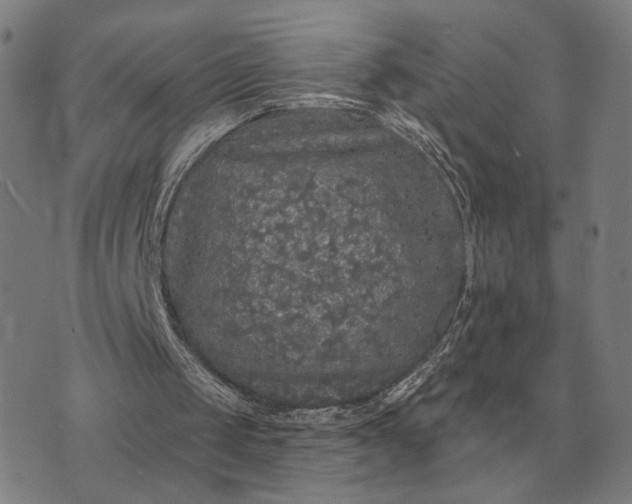 X0000070400049200606231812