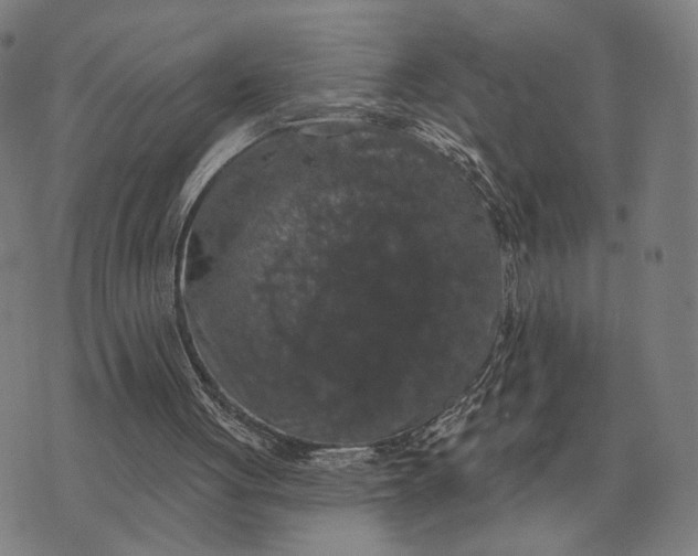 X0000070400051200606231813