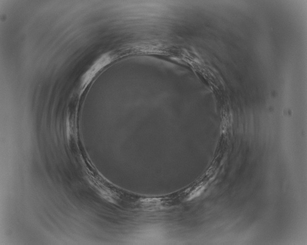 X0000070400052200606231813