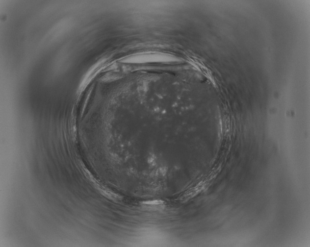 X0000070400053200606231813