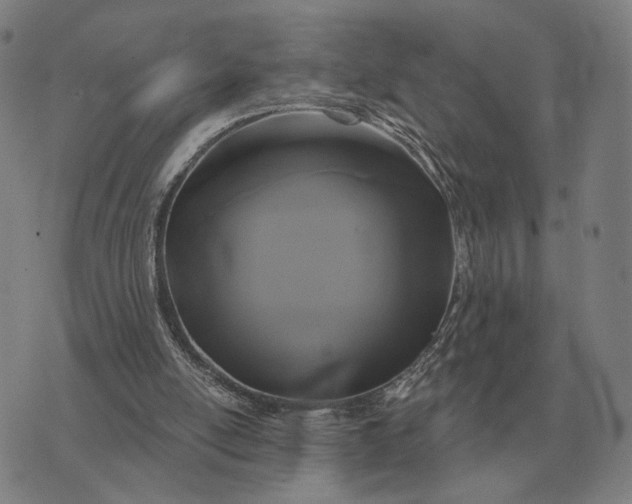 X0000070400054200606231813