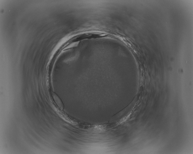 X0000070400056200606231813