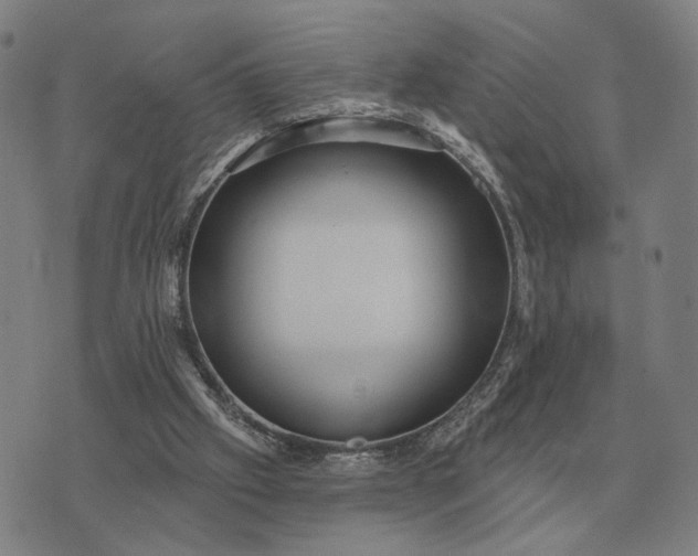 X0000070400057200606231813