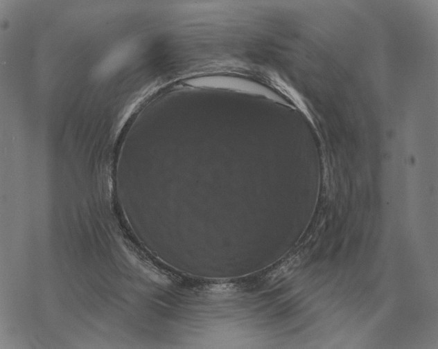 X0000070400059200606231813