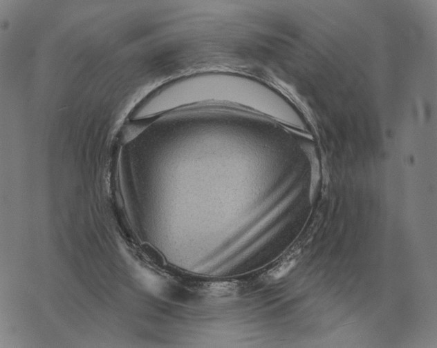 X0000070400060200606231813